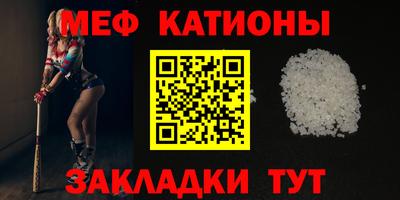 индика Гатчина
