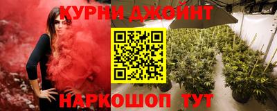 индика Гатчина