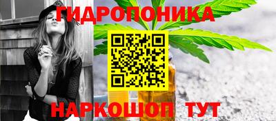 эйфоретик Гай