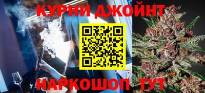 индика Гатчина