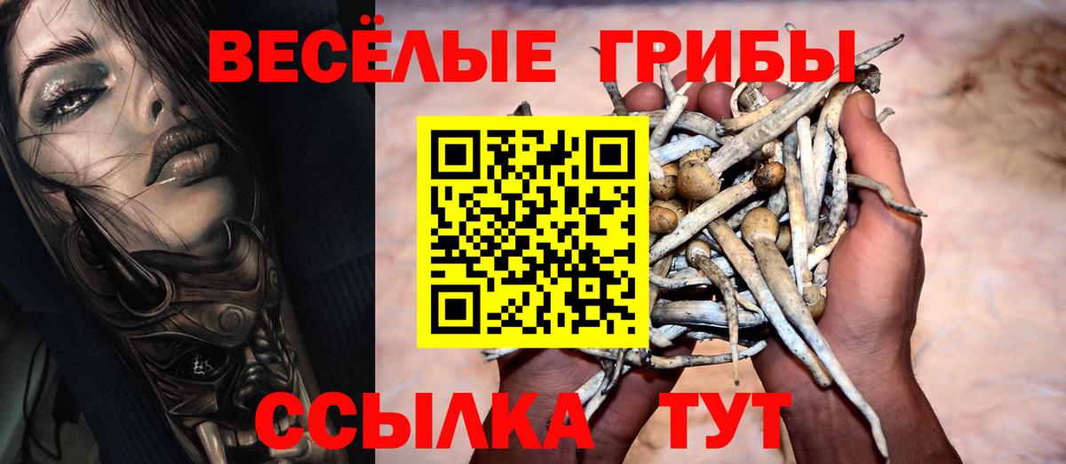 Галлюциногенные грибы GOLDEN TEACHER Северодвинск