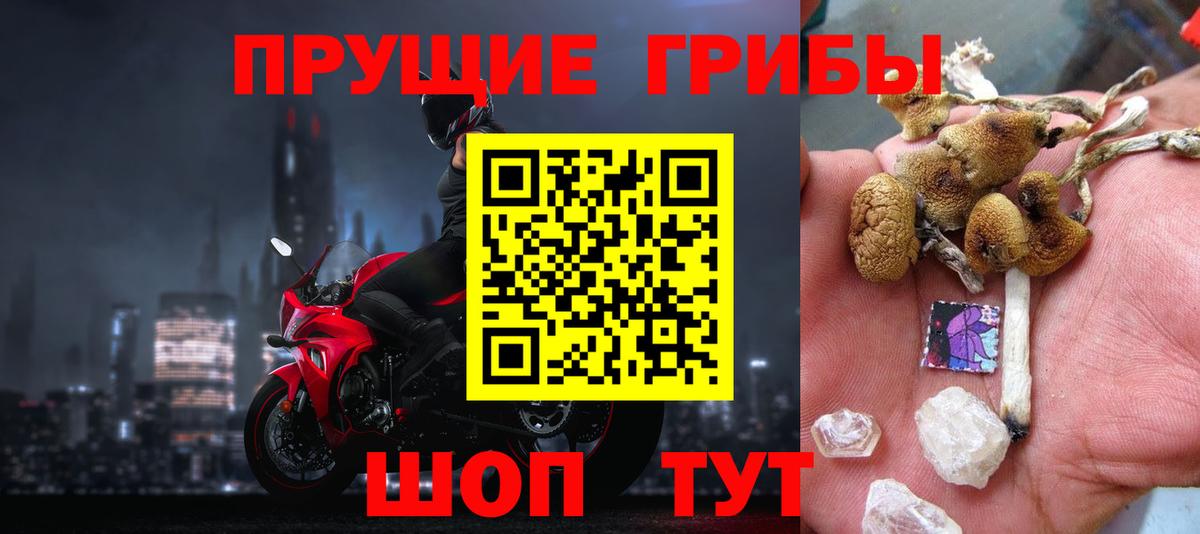 Северодвинск  Псилоцибиновые грибы GOLDEN TEACHER  Вход с VPN 